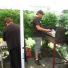 Grillen