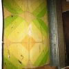 Grüne Wand