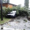 Sturm