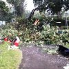 Sturm